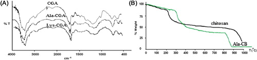 Figure 3. FTIR spectra (A) and TGA curves (B) of chitosan and modified chitosan beads.