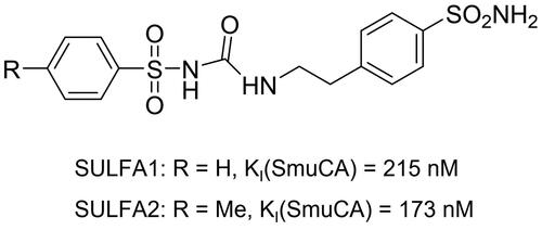 Figure 1. Chemical structures of the two arylsulphonyl-ureido-benzenesulphonamides SULFA1 and SULFA2 and their inhibitory activity against S. mutans β-CA (SmuCA).