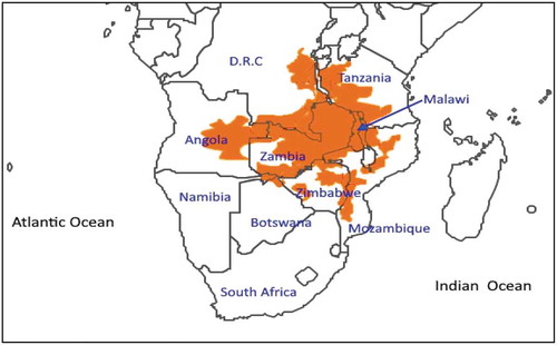 Figure 1. Distribution of U.kirkiana species in Southern Africa