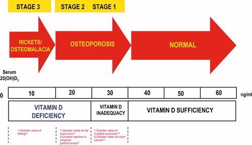 Figure 2.  Cut-off of Vitamin D deficiency.
