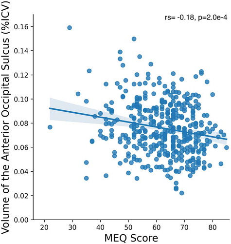 Figure 1. Correlation between MEQ score and volume of the anterior occipital sulcus (% of the intracranial volume)
