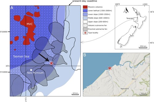 Figure 1. A, Early Tongaporutuan (late Miocene) palaeogeographical map (modified after Arnot and Bland Citation2016; Sagar et al. Citation2019) of the Taranaki Basin, showing the present-day coastline and the location of the northern Taranaki coastal section. B, Waitoetoe Beach, near Waitoetoe Campsite, just south of the mouth of the Mimi stream, Urenui, Taranaki (North Island, New Zealand). Contains data sourced from the LINZ Data Service (https://data.linz.govt.nz/) licensed for reuse under CC BY 4.0 (https://creativecommons.org/licenses/by/4.0/). The type location of Pseudocarcinus karlraubenheimeri n. sp. is indicated by a red asterisk, just south of tuff sample location U-C-27 of Maier et al. (Citation2016).