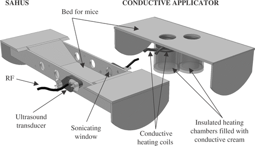 Figure 1. Schematic for heating configuration: conductive approach (first five mice), ultrasound approach (last five mice). See text. SAHUS indicates the Small Animal Hyperthermia Ultrasound System.