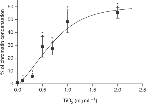 Figure 3. Percentages of chromatin condensation detected by Hoechst dye staining following exposure to different TiO2 concentrations for 24 h. Data are presented as percentages of chromatin condensation in comparison with the untreated control and displayed as mean±SD of three separate experiments. Treated groups are significantly different from untreated control at p < 0.005 as indicated by ‘**’.