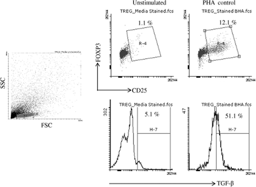 Figure S2 Flow cytometry dot plot are showing gating strategy and unstimulated and PHA control for TGF-β producing Treg cells.Abbreviation: PHA, phytohemagglutinin.