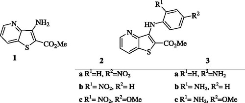 Figure 2. Structures of the precursor methyl 3-aminothieno[3,2-b]pyridine-2-carboxylate 1, of the nitrodi(hetero)arylamines 2 and of the corresponding aminodi(hetero)arylamines 3.