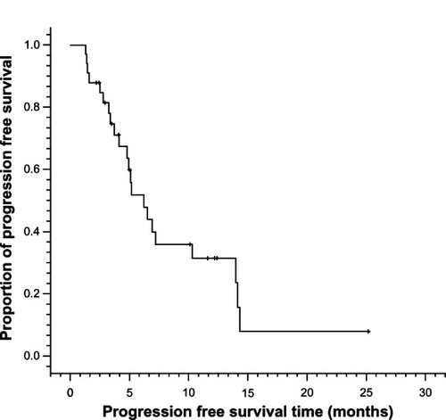 Figure 1 Progression-free survival curves for metastatic esophageal cancer patients treated with nanoparticle albumin-bound paclitaxel plus cisplatin (n = 33).