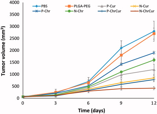 Figure 8. Therapeutic efficacy of CurChr NPs on growth of melanoma tumours in mice. While tumours in animals that were treated with saline and/or PLGA-PEG tend to grow progressively, there was a significant tumour growth inhibition by day 9 in therapeutic groups compared to saline as control. The highest melanoma tumour growth inhibition was detected for CurChr NPs, followed by CurChy = Cur NPs > Cur > Chr NP > Chr.