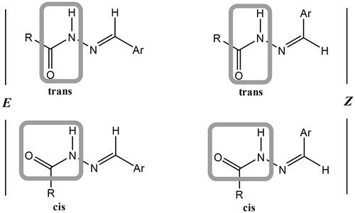 Figure 5. Isomers of N-acylhydrazones.