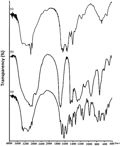 Figure 3. The Fourier transform infrared spectroscopy pattern of arginine (a), oleic acid (b), and the mixture of arginine-oleic acid (c).
