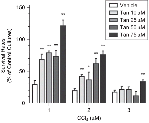 Figure 1.  CCl4-induced decrease of rat primary hepatocyte viability. Rat primary hepatocytes cultured with CCl4 (1, 2, and 3 μM) for 24 h caused significant decrease of viability (n = 8). Significant difference from (vehicle) control cultures, *p < 0.05; **p < 0.01.