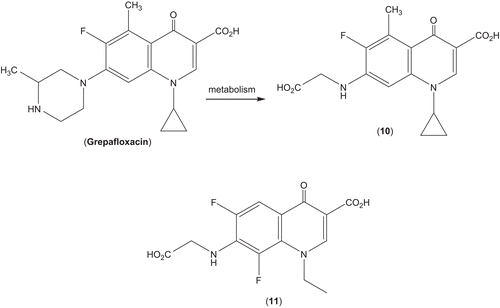 Scheme 2.  Fluoroquinolones (10, 11) with glycine substituent.