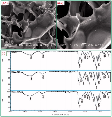 Figure 2. (a) SEM photographs of PHEMA cryogels with different magnifications; (a-1) × 500, (a-2) × 1000; (b). The FTIR spectra of PHEMA (top side), PHEMA–IDA (middle side), and PHEMA–IDA–Ni(II) (bottom side) cryogels.
