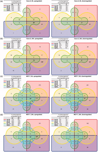 Figure 5. Venn diagrams of up- and downregulated genes (1.5FC) in Caco-2 cells after (A) 6 h and (B) 24 h exposure and in MCF-7 cells after (C) 6 h and (D) 24 h exposure to AgNPs or AgNO3. Genes that were shared in aall groups and bthat were shared only between all NP exposure groups. The tables in each corner show the agenes that were grouped in either group or bgiven as a percentage of the total number of DEGs of each exposure group.