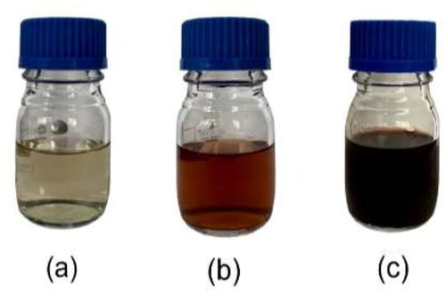 Figure 1. Visual identification of biosynthesized AgNPs as recorded at different time-interval: (a) Initial, (b) 2 h, and (c) 4 h. The formation of reddish-brown colour revealed the formation of AgNPs in the reaction mixture.
