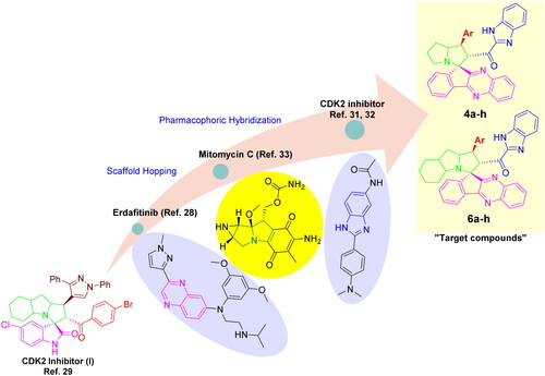 Figure 1. Rational design of the target indeno[1,2-b]quinoxaline-based spiro compounds 4(a-h) and 6(a-h) as CDK2 inhibitors for halting non-small cell lung cancer.
