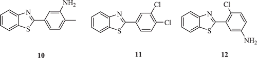 Figure 3.  Chemical structure of 2-(substituted-phenyl)benzothiazole derivatives.