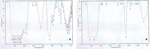 Figure 5. FTIR spectra of A) A. herba-alba plant extract and B) synthesized Ar-AgNPs using A. herba-alba plant extract.