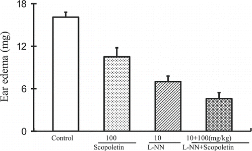 Figure 3.  Influence of l-NN pretreatment on the anti-inflammatory effects of scopoletin in croton oil-induced dermatitis. Values were means ± SEM of 8 mice.