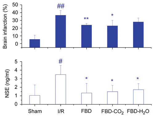 Figure 2.  Effects of FBD, FBD-CO2 and FBD-H2O on brain infarction and circulating NSE efflux in ICR mice subjected to cerebral repetitive I/R. Each column represents mean ± SD of 6 mice. NSE, neuron specific enolase; I/R, ischemia-reperfusion; #p<0.05, ##p<0.01 vs the sham-operated group; *p<0.05, **p<0.01 vs the saline-pretreated I/R group.