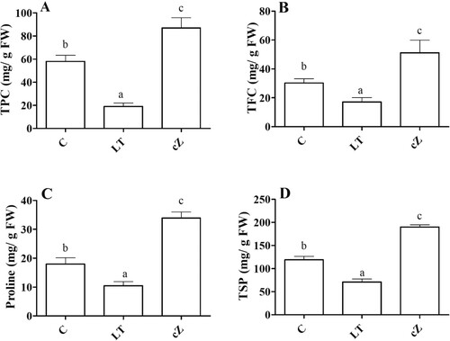 Figure 8. Determination of TPC (total phenolic content) (A), TFC (total flavonoid content) (B), Proline (C) and TPS (total soluble protein) (D) in the plants of Z. mays after been exposed to cZ (5 µM) or and its inhibitor – lovastatin – LT (5 µM). Data are mean from 3 independent experiments with standard error bars. Bars labeled with different letters are significantly different (Duncan test; p < 0.05). Experiment was performed at least times in triplicates for validation.