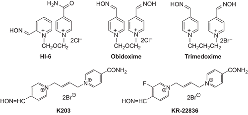 Figure 1.  Chemical structures of oximes.