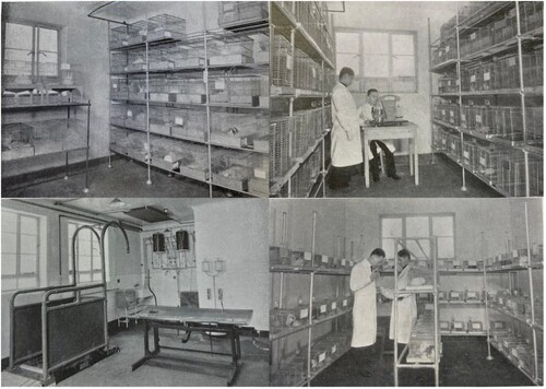 Figure 3 Lester Institute animal house. Clockwise from top left: “Rabbit room”; “Vitamin Research: Rats”; “Vitamin Research: Guinea pigs”; “Animal House: Operation Room.”Footnote30