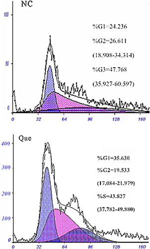Figure 3. Distribution of bladder cancer EJ cell cycle analyzed by flow cytometry, before and after isoquercetin treatment.