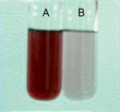 Figure 2.  Gold nanospheres before (A) and after (B) conjugation reaction with gentamicin.