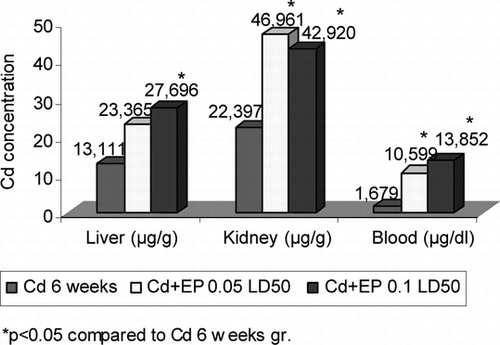 Figure 3 Cd2+ concentration in blood, liver, and kidneys of mice after CdCl2 (0.16 mg Cd/1 kg body mass) and EP (0.125 EP extract/1 kg body mass and 0.25 EP extract/1 kg body mass) injection.