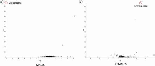Figure 8. ANCOM volcano plot of statistical differences between Abx-treated Ztm and Abx-treated WT mice at genus level. (a): Abx-treated Ztm (ZtmAbx) males harbor a significantly higher abundance of Ureaplasma sp. compared to Abx-treated WT (WTAbx) males. (b): Abx-treated WT (WTABX) females show significantly more abundant Erwiniaceae sp. when compared to Abx-treated Ztm (ZtmAbx) females.