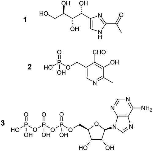 Figure 1. Molecular structures of THI (1, 2-acetyl-4-((1R,2S,3R)-1,2,3,4-tetrahydroxybutyl)imidazole), pyridoxal-5′-phosphate (2) and ATP (3).
