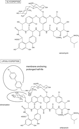 Figure 1. Chemical structure of oritavancin as compared to vancomycin. Major changes are highlighted together with their main consequences for activity or pharmacokinetics.