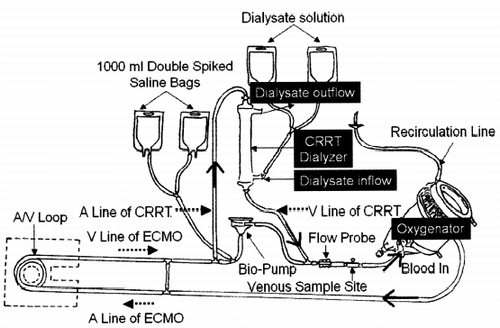 Figure 1. Combination of continuous renal replacement therapies (CRRT) and extracorporeal membrane oxygenation (ECMO) circuit. Drainage is accomplished from the femoral vein, whereas arterial access is gained through the femoral arteries. Continuous renal replacement therapy is incorporated in the ECMO circuit. Arterial drainage of CRRT is coming out before BioPump, passes through the CRRT dialyzer, and goes back to ECMO circuit post-BioPump and before oxygenator. Abbreviation: A = arterial; V = venous.