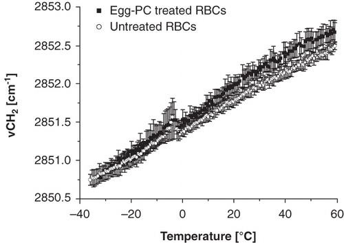 Figure 1. Wavenumber vs. temperature plot of RBC ghosts after incubation with egg-PC liposomes. Egg-PC treated RBCs (filled squares) have a higher cooperativity than non liposome treated RBCs (open circles).