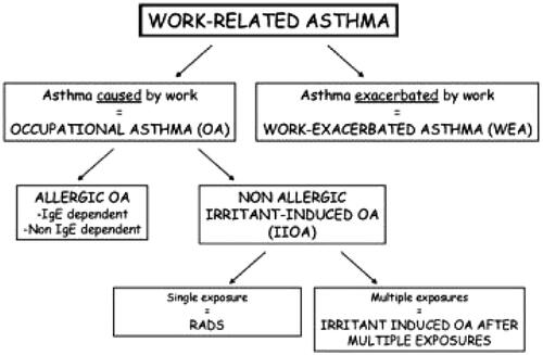 Figure 1. Diagnosis of occupational asthma as proposed by the World Allergy Organisation (WAO) RADS: reactive airways dysfunction syndrome. https://www.worldallergy.org/education-and-programs/education/allergic-disease-resource-centre/professionals/diagnosis-of-occupational-asthma.