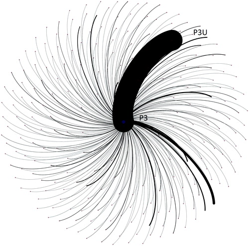 Figure 3. P2 Gephi visualisation. Key: P3 = participant 3 node; P3U = undirected tweets from the participant's handle to all followers (not mentioning any other profiles).