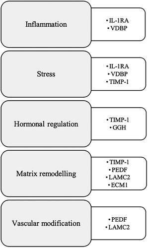 Figure 2. The seven candidate biochemical biomarkers and the underlying biological processes with which are associated, modified from Leow et al. (Citation2020). Inflammation, stress, hormonal regulation, matrix remodelling, and vascular modification are key to cervical change, and each of the candidate biochemical biomarkers have been linked with these processes (Leow et al., Citation2020).