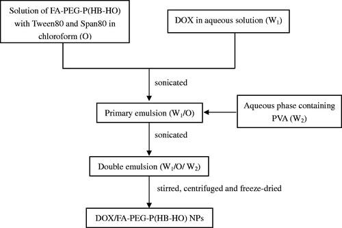 Figure 1. The schedule of preparing DOX/FA-PEG-P(HB-HO) NPs.