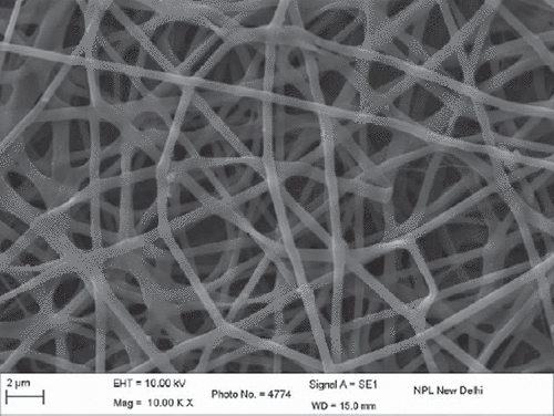 Figure 1. PVA 10% unloaded nanofiber.