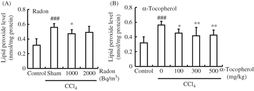 Figure 2. Effects of radon (A) and α-tocopherol (B) on oxidative damage-associated parameters in the kidney of CCl4-administrated mice. Each value indicates the mean ± 95% confidence intervals. The number of mice per experimental point is—five to seven.Note: *p < 0.05, **p < 0.01 versus CCl4, ###p < 0.001 versus control.