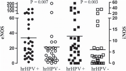 Figure 2. Protein levels of endothelial and inducible nitric oxide synthase (eNOS, iNOS) determined by Western blotting in women with (+) and without (–) high-risk human papillomavirus (hrHPV). The NOS scales (left, eNOS; right, iNOS) represent density in arbitrary units relative to actin. The horizontal lines show the means of the values.