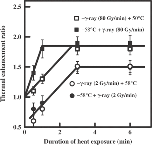 Figure 5. The dependence of the thermal enhancement ratio on the duration of heat exposure (58°C) after the sequential action of ionizing radiation (60Co γ-rays) and hyperthermia on diploid yeast cells.