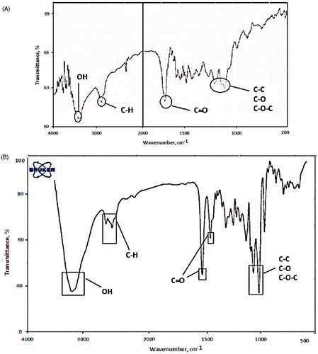 Figure 1. (A) FTIR spectra of PLGA-PEG, (B) FTIR result shows the presence of chrysin in PLGA-PEG nanoparticle.