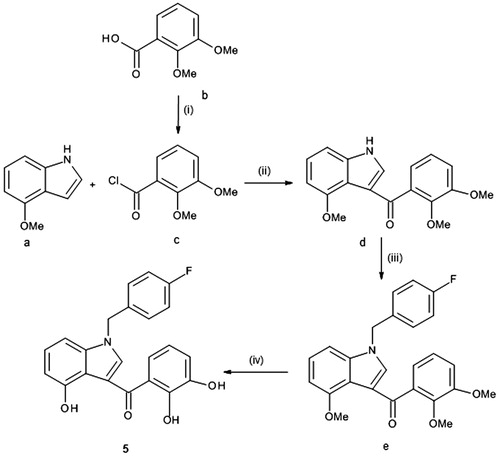 Scheme 3. Reagents and conditions: (i) thionyl chloride, Δ, 2 h; (ii) Et2AlCl, CH2Cl2, 0 °C, 2 h; (iii) 4-fluorobenzyl bromide, t-BuOK, THF, rt, 2 h and (iv) BBr3 1 M sol. in CH2Cl2, CH2Cl2, rt, 16 h.