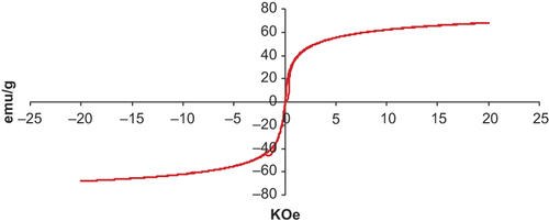 Figure 5. VSM magnetization curve of C60-γ-Fe2O3 SPIONs.