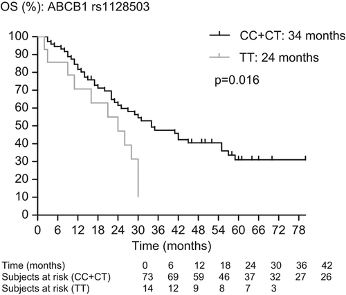 Figure 5. Impact of ABCB1 rs1128503 variants on overall survival.