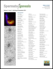 Cover image for Spermatogenesis, Volume 4, Issue 2, 2014
