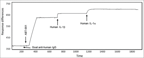 Figure 3. Consecutive binding of IL-1α and IL-1β to ABT-981. To generate this representative sensogram, ABT-981 was immobilized on a Biacore sensor chip via goat anti-human IgG and 500 nM human IL-1β was injected followed by injection of 500 nM human IL-1α. No dissociation time of the IL-1β was allowed prior to the injection of the IL-1α. The sensogram indicates that human IL-1β binds to ABT-981, and IL-1α variable domains are still accessible for binding to IL-1α. The reciprocal of this study (binding of IL-1α followed by IL-1β) showed identical results (data not shown). The Y-axis of the plot is response units and the X-axis is time in seconds.