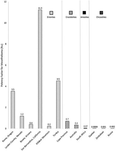 Figure 4. Mesothelioma potency factors for different types of fibers from various locations. Chrysotile (Quebec, Zimbabwe, and Russia), amosite (South Africa), crocidolite (South Africa and Cape Province, Australia), and Turkish erionite are from Korchevskiy et al. (Citation2019). The rest were calculated by the authors of this paper. When the median aspect ratios of erionites were unknown (Nevada, Arizona, and California), they were assumed to be 10.